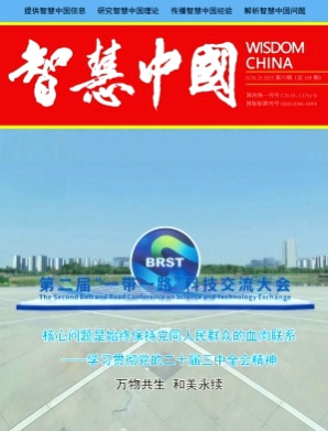 智慧中国杂志